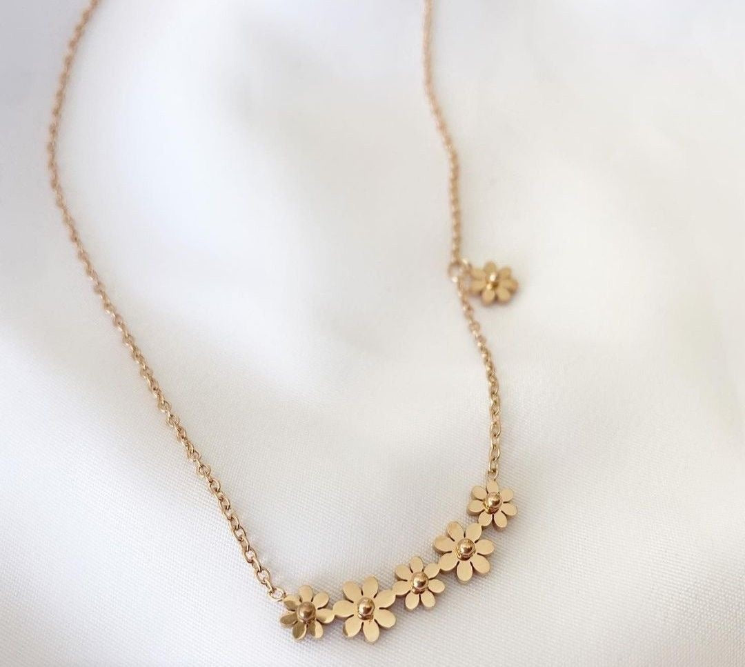 Dainty daisy